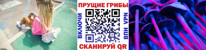 где найти наркотики  Кохма  Галлюциногенные грибы мицелий 
